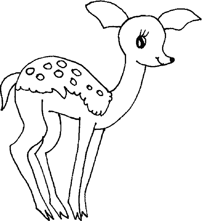 Fawn coloring page