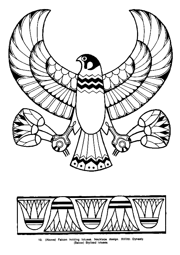 Falcon coloring page 2