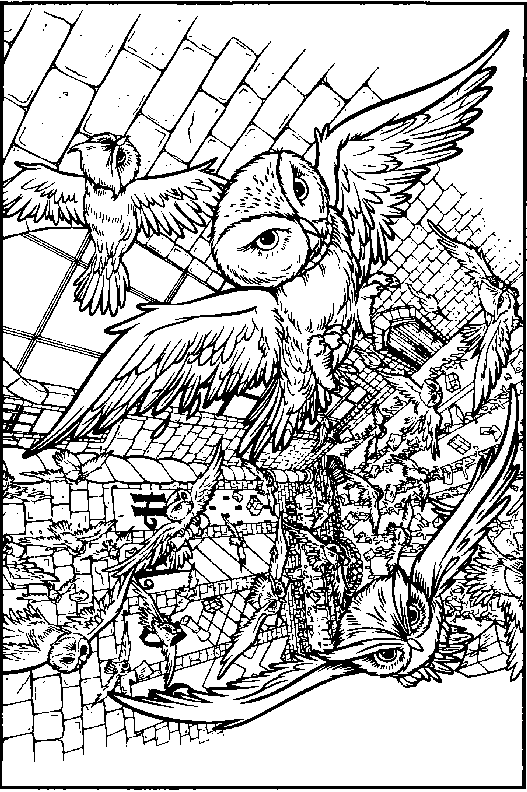 Harry Potter Owls coloring page