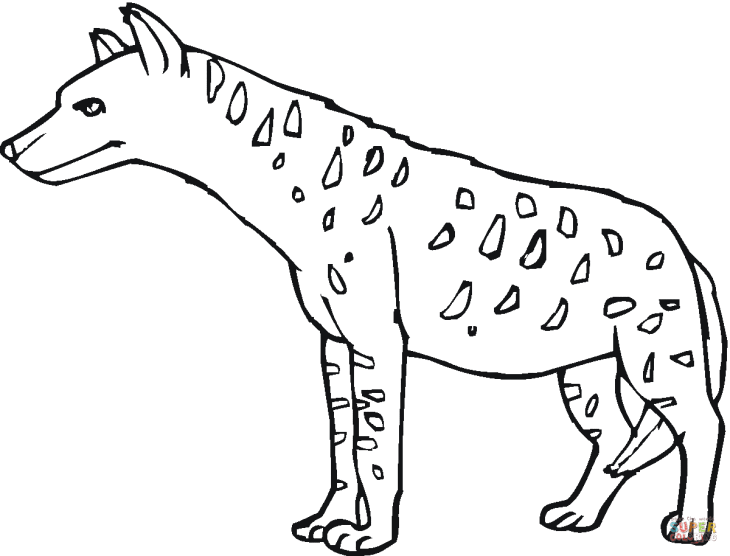 Hyena coloring page