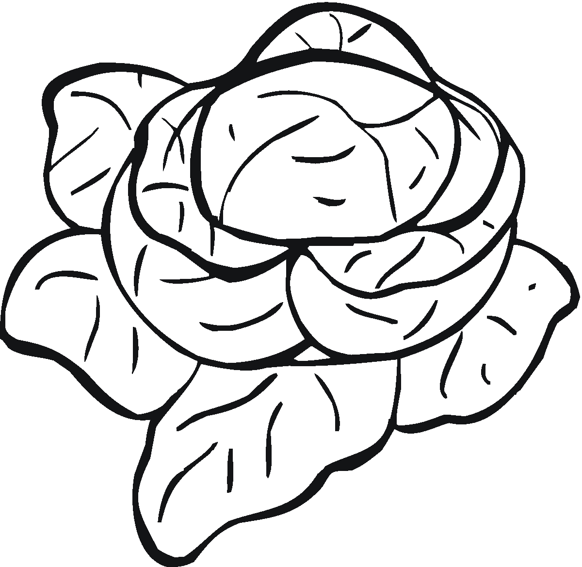 lettuce coloring page