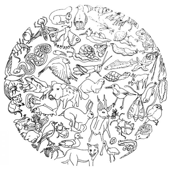 Coloriage mandala animaux