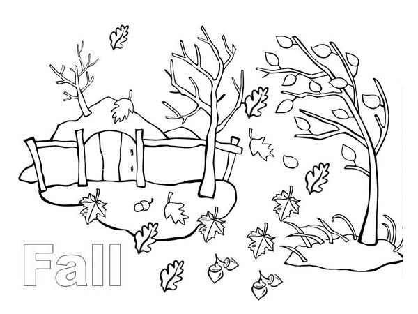 Nature In Autumn coloring page