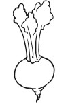 Turnip coloring page