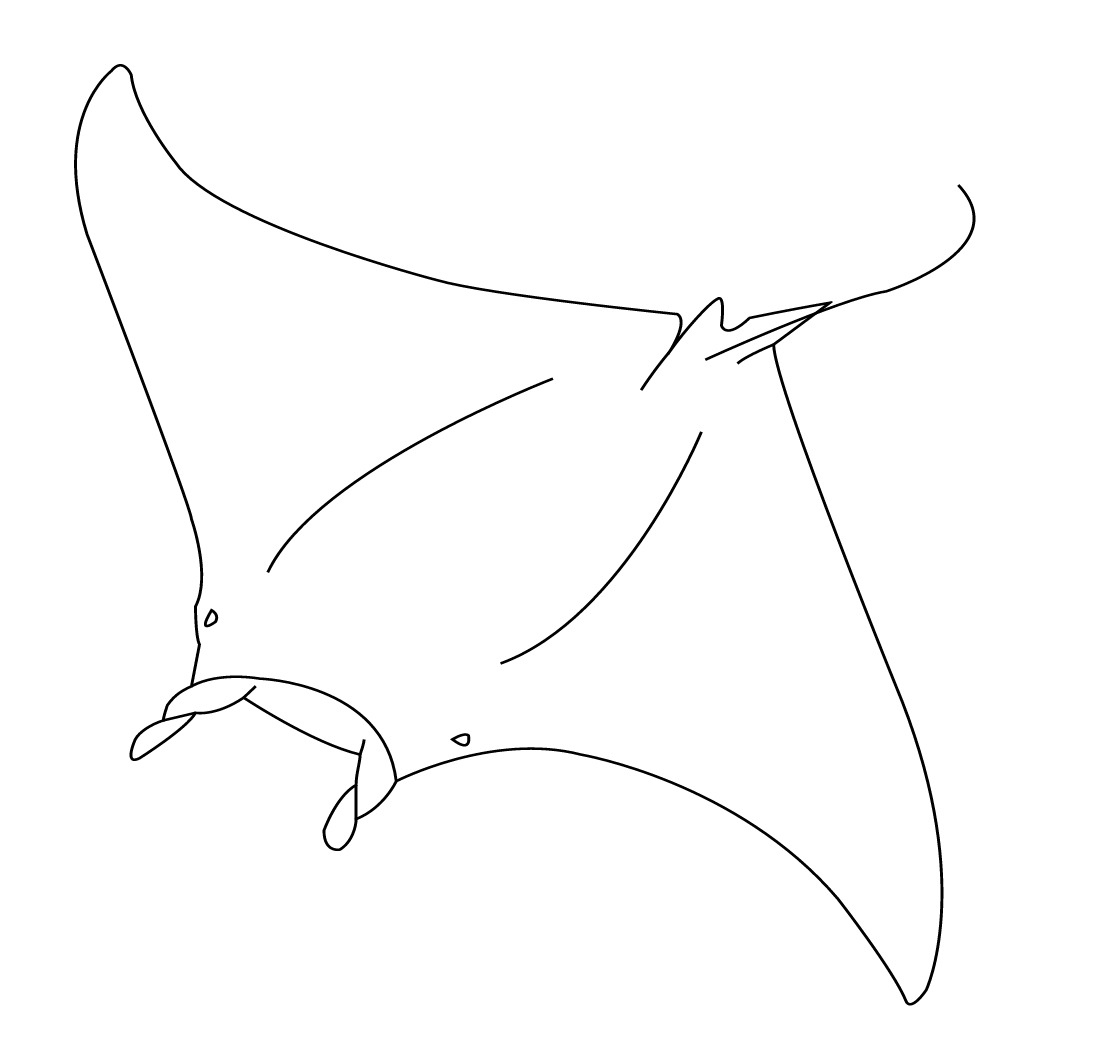 Ray coloring page