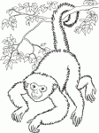 Hairy Monkey coloring page