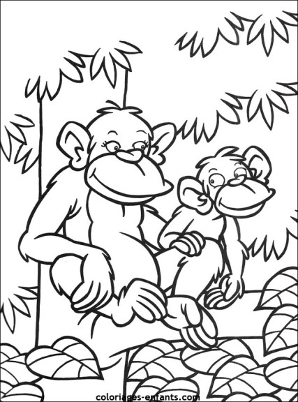 Monkeys coloring page