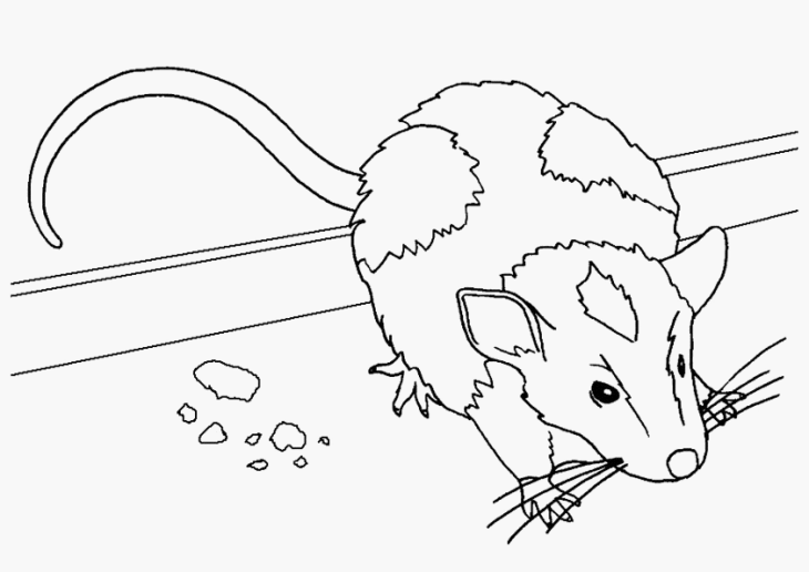 Coloriage souris de maison