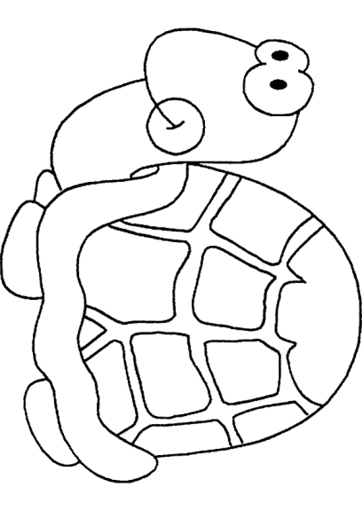 Land Turtle coloring page