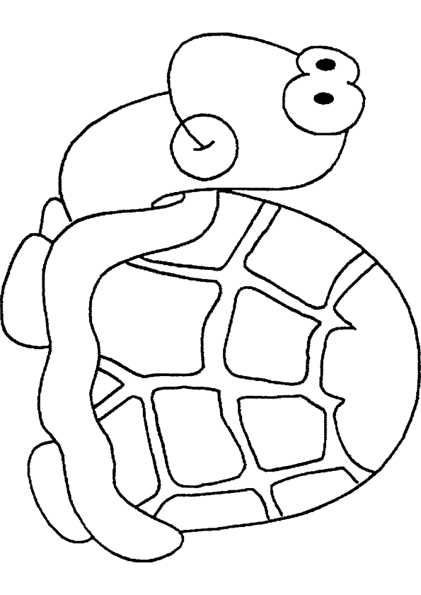 Land Turtle coloring page