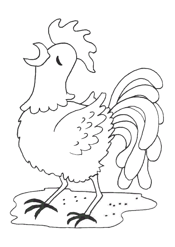 Disegno di Gallo Gallo da colorare