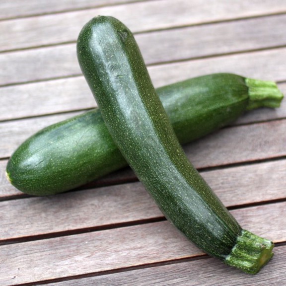 Zucchini