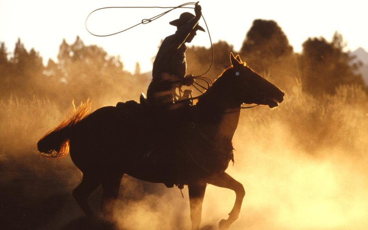 Cow Boy On His Horse