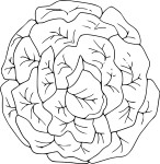 Lettuce And Design coloring page