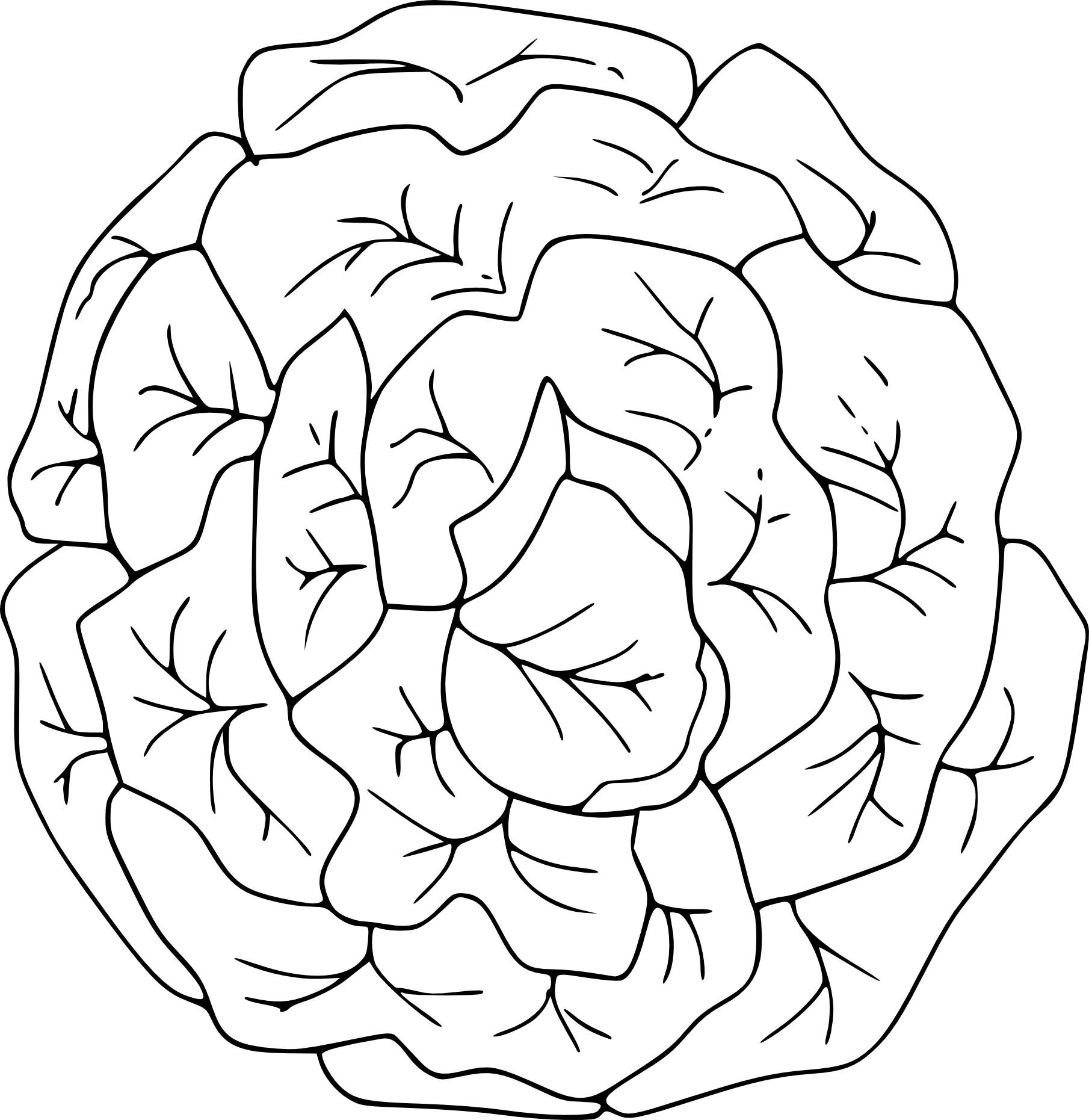 Lettuce And Design coloring page