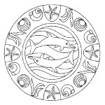 Dolphin Mandala drawing and coloring page