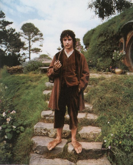 Frodo The Lord Of The Rings