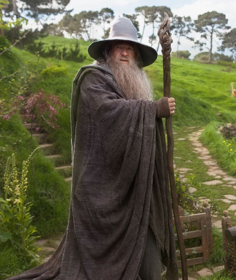 Disegno di Gandalf Il Signore degli Anelli da colorare