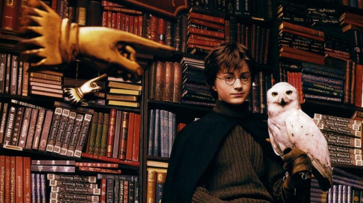 Harry Potter Owls