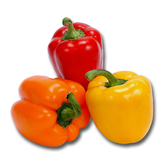 Bell Pepper