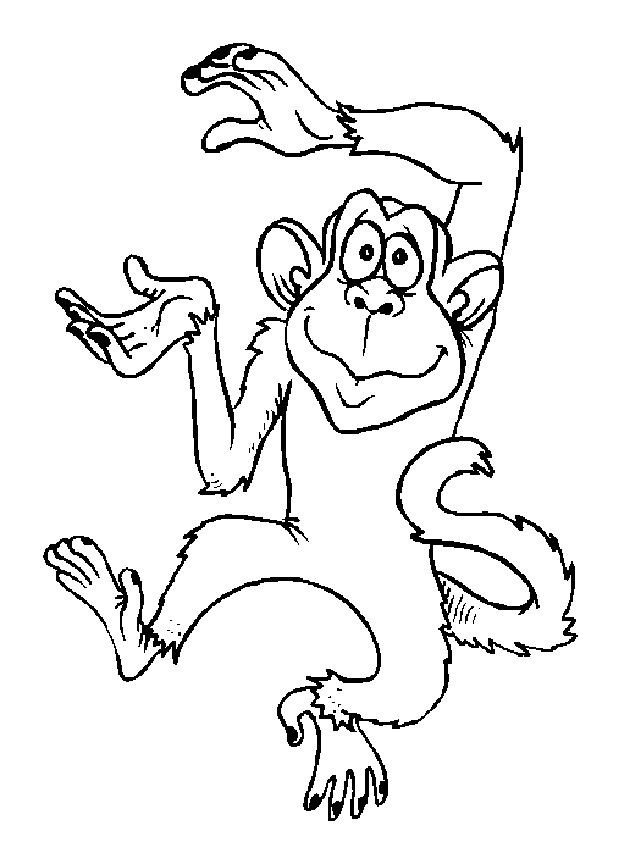 Funny Monkey drawing and coloring page