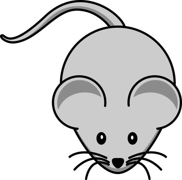 House Mouse