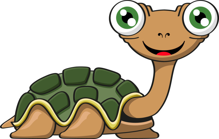 Turtle drawing and