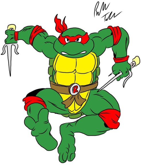 Ninja Turtle In Combat