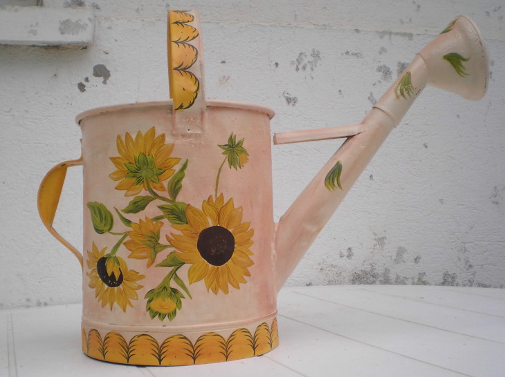 Watering Can Strawberry Shortcake