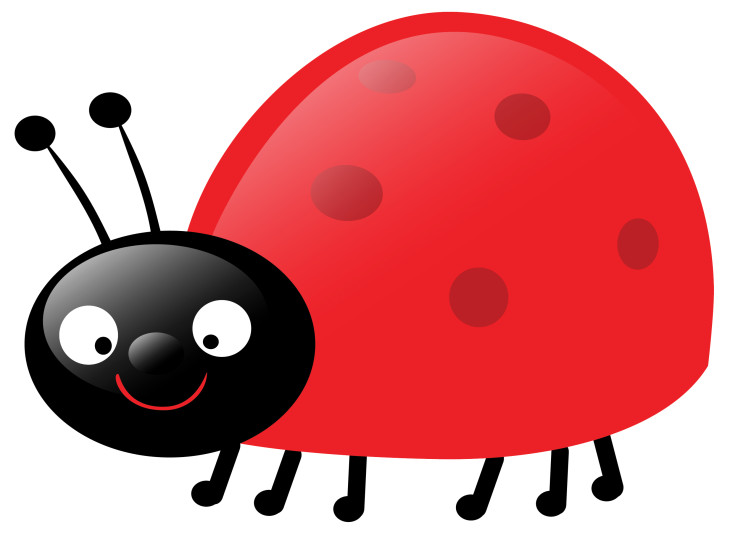 Disegno di Sorriso di coccinella da colorare