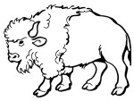 Bison coloring page