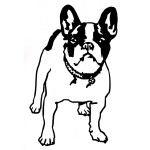 Bulldog Dog coloring page
