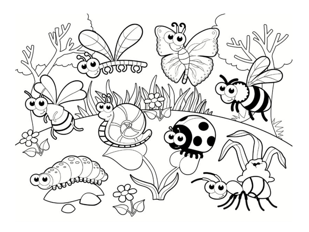 Coloriage coccinelle et papillon