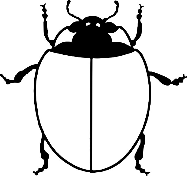 Disegno di Coccinella senza punto da colorare