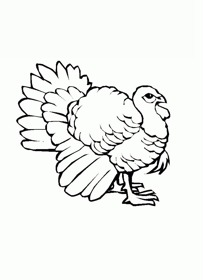 Turkey coloring page