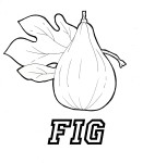 Fig coloring page