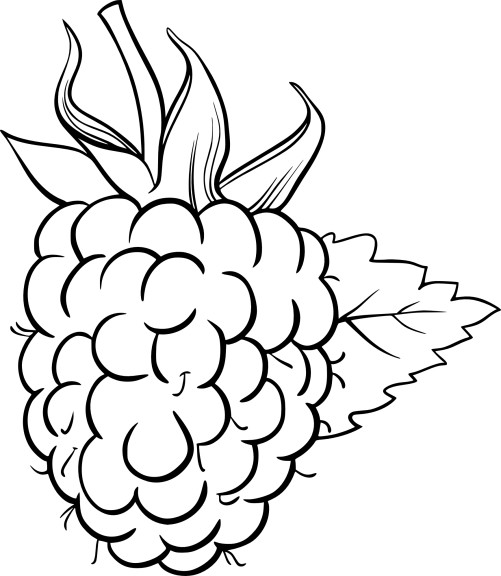 Raspberry coloring page