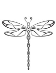 Dragonfly coloring page