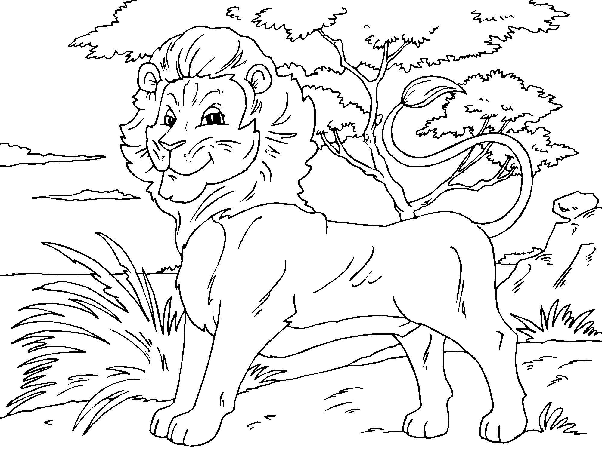 Coloriage Lion roi de la jungle