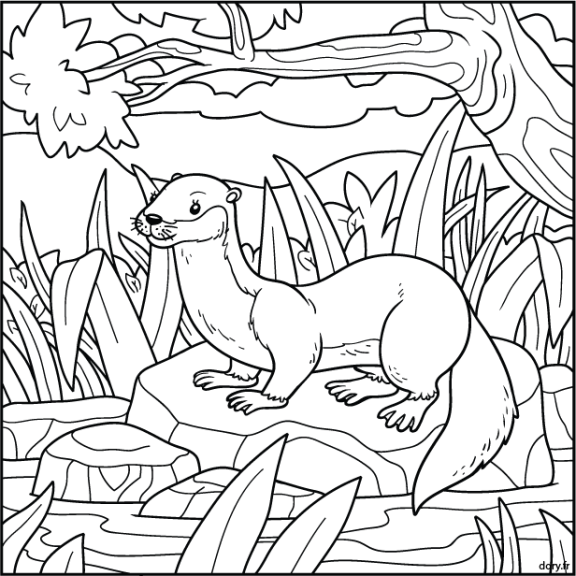 Otter coloring page