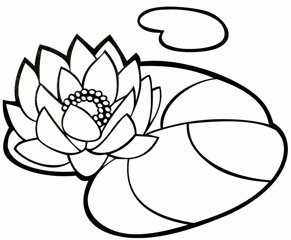 Nenuphar coloring page
