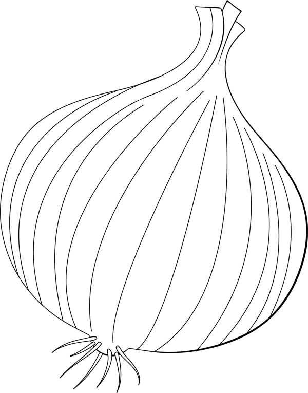 Onion coloring page