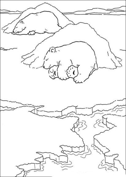 Polar Bear coloring page