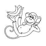 Little Marmoset coloring page