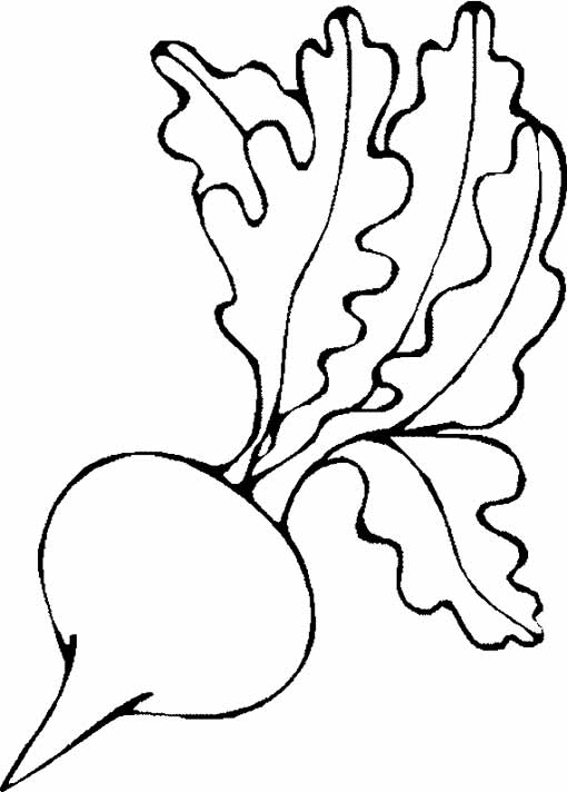 Radish coloring page