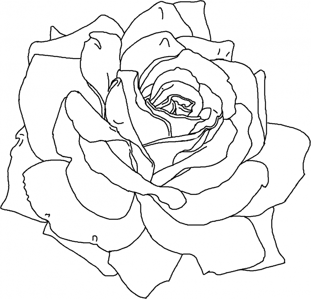 Free Pink coloring page
