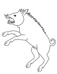 Boar coloring page