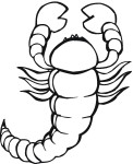 Disegno di Scorpione da colorare