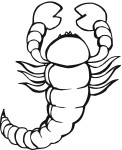 Scorpion coloring page