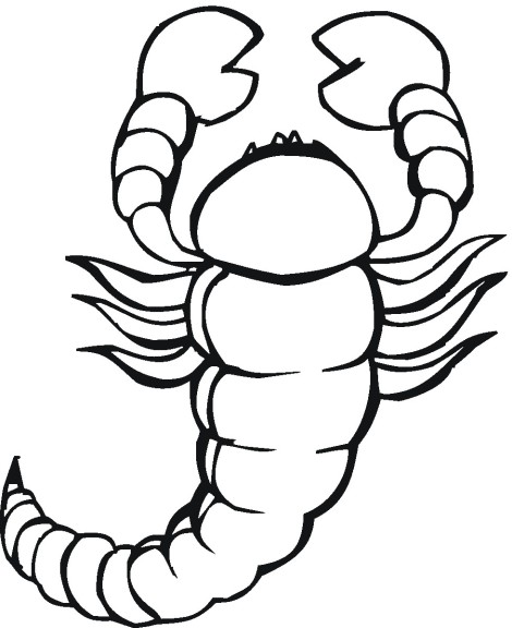 Coloriage scorpion